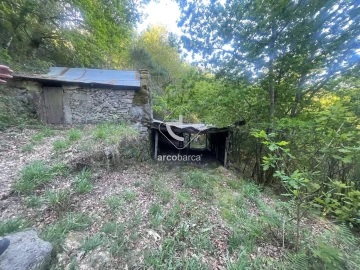 Terreno para Venda em Cabreiro