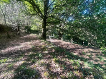 Terreno para Venda em Cabreiro