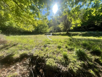 Terreno para Venda em Cabreiro