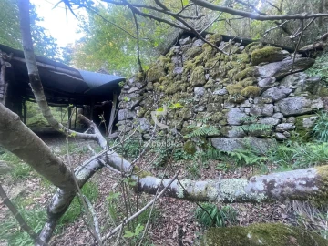Terreno para Venda em Cabreiro