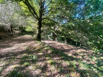 Terreno para Venda em Cabreiro