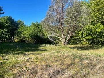 Terreno para Venda em Cabreiro