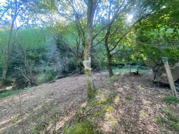 Terreno para Venda em Cabreiro