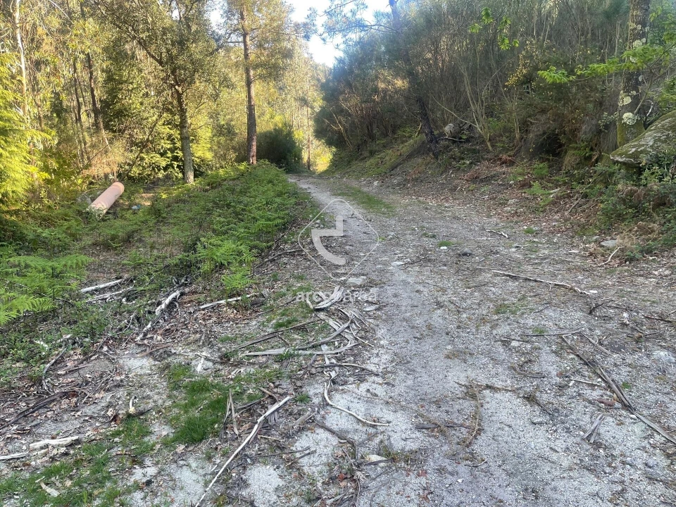 Terreno para Venda em Cabreiro Foto 1