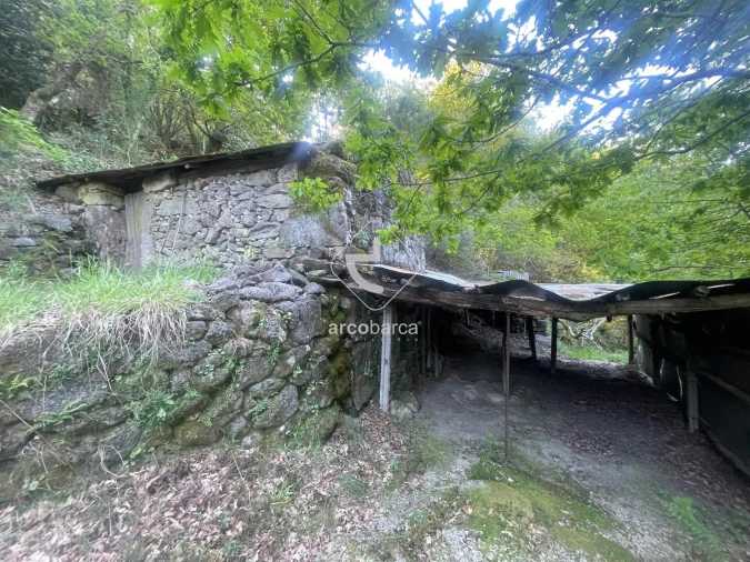 Terreno para Venda em Cabreiro Foto 4