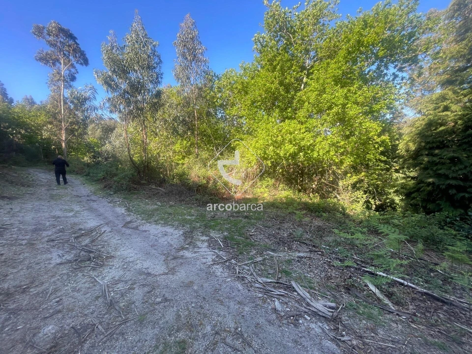 Terreno para Venda em Cabreiro Foto 2