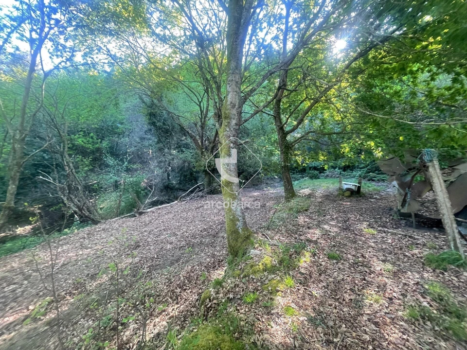 Terreno para Venda em Cabreiro Foto 8