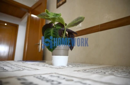 Apartamento T3 para Venda em Alhos Vedros