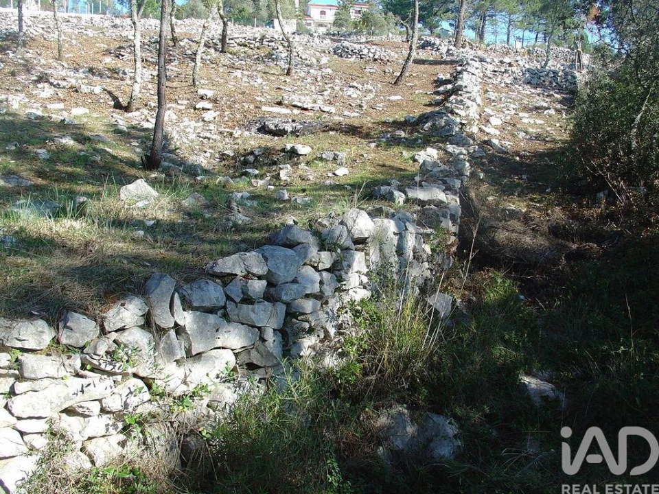 Terreno para Venda em Mira de Aire Foto 27