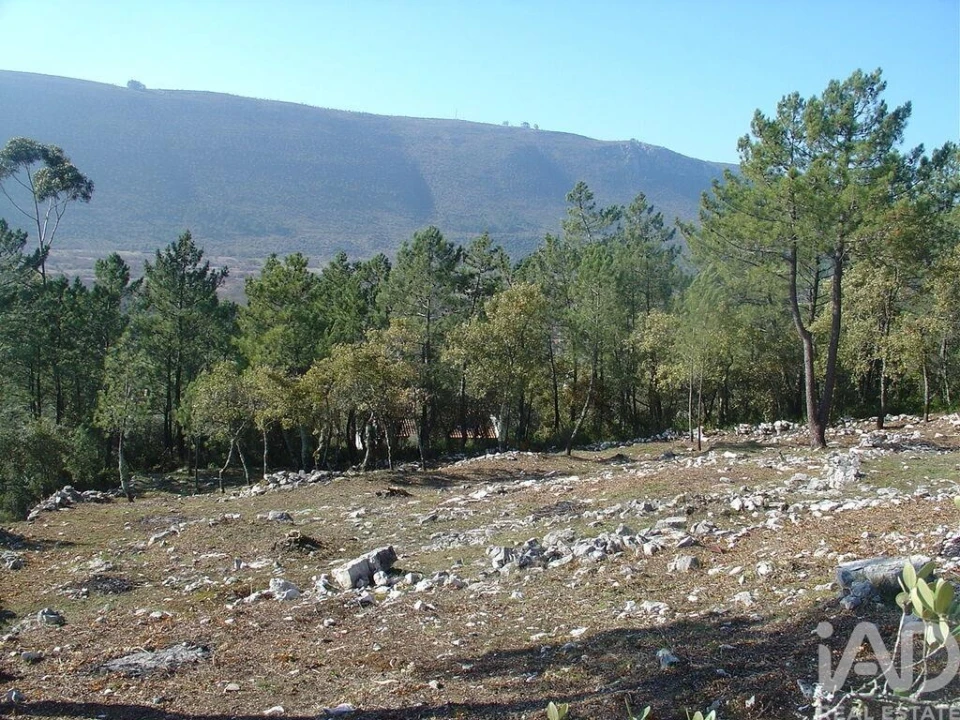 Terreno para Venda em Mira de Aire Foto 23
