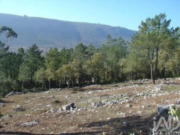 Terreno para Venda em Mira de Aire