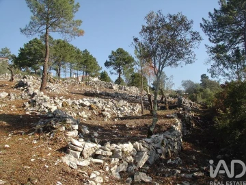 Terreno para Venda em Mira de Aire
