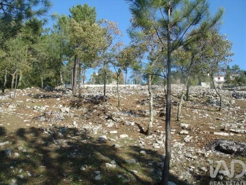 Terreno para Venda em Mira de Aire