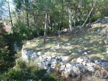 Terreno para Venda em Mira de Aire