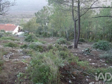 Terreno para Venda em Mira de Aire