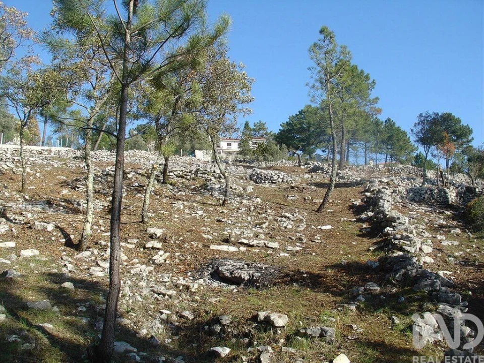 Terreno para Venda em Mira de Aire Foto 25