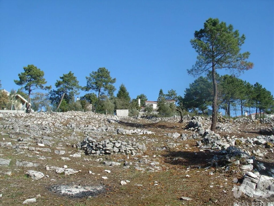 Terreno para Venda em Mira de Aire Foto 31