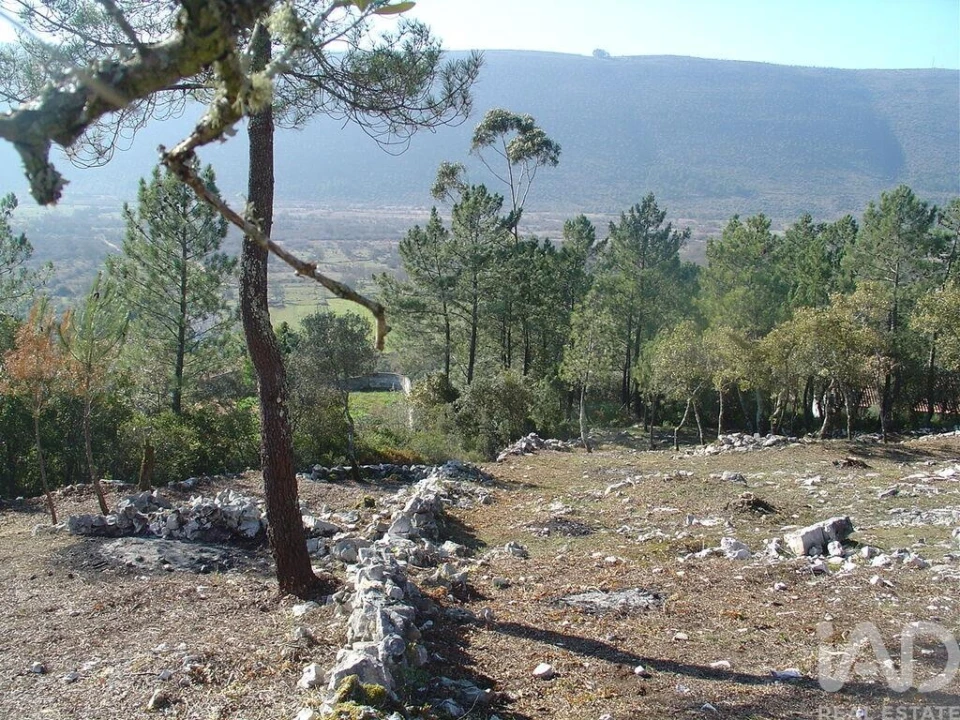 Terreno para Venda em Mira de Aire Foto 22