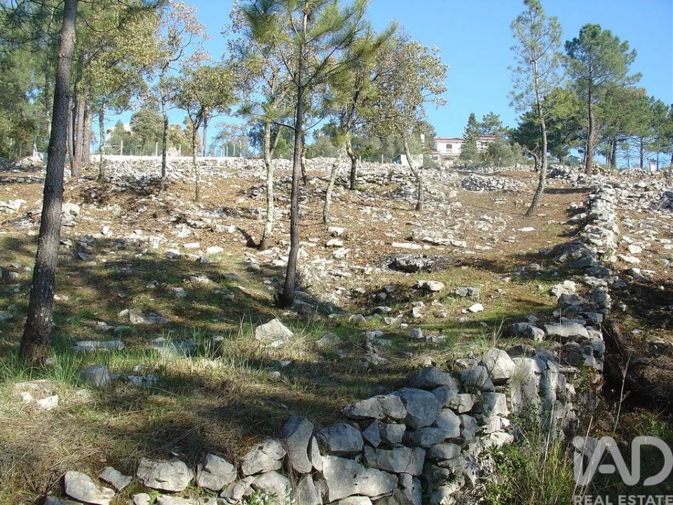 Terreno para Venda em Mira de Aire Foto 20