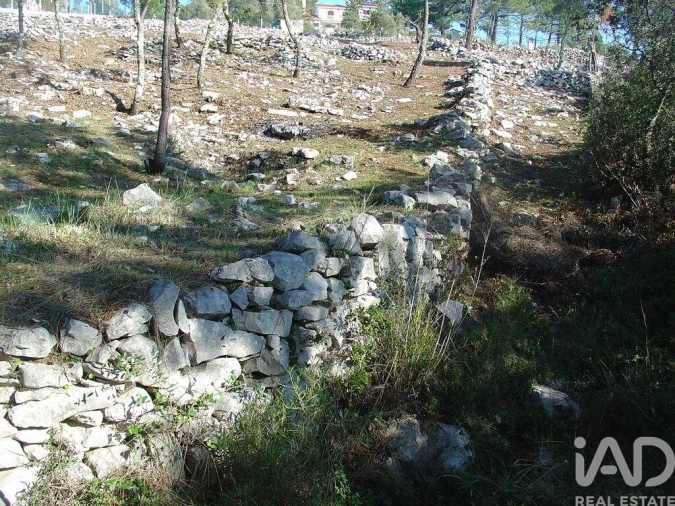Terreno para Venda em Mira de Aire Foto 27