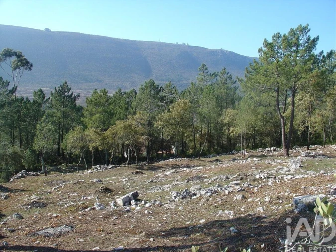 Terreno para Venda em Mira de Aire Foto 23