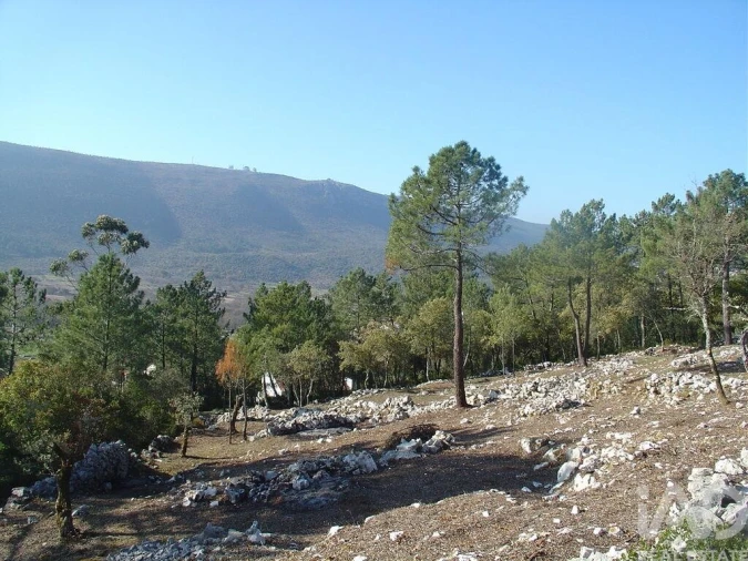 Terreno para Venda em Mira de Aire Foto 34