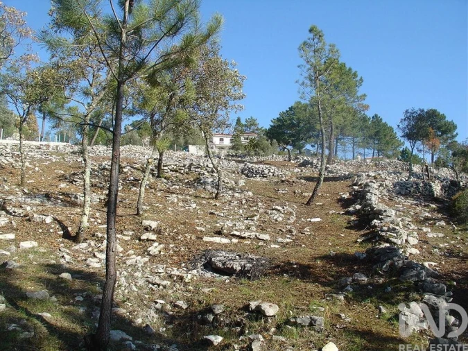Terreno para Venda em Mira de Aire Foto 25