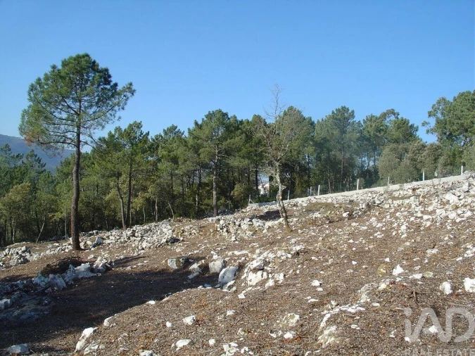 Terreno para Venda em Mira de Aire Foto 32