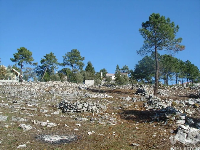 Terreno para Venda em Mira de Aire Foto 31