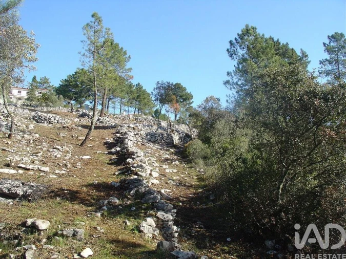 Terreno para Venda em Mira de Aire Foto 26