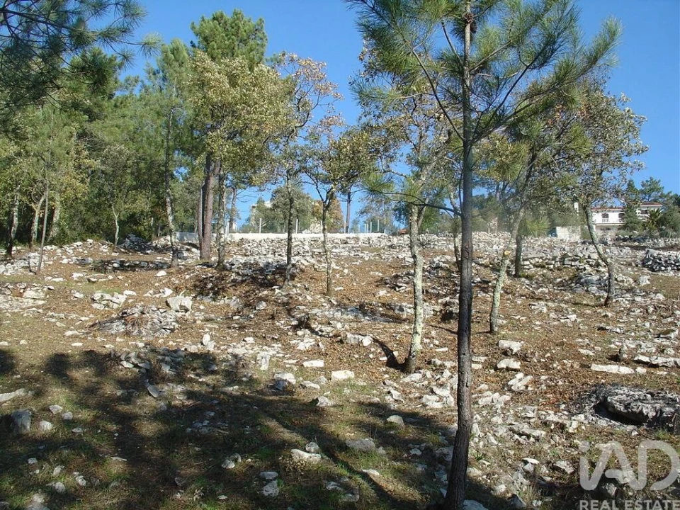Terreno para Venda em Mira de Aire Foto 24
