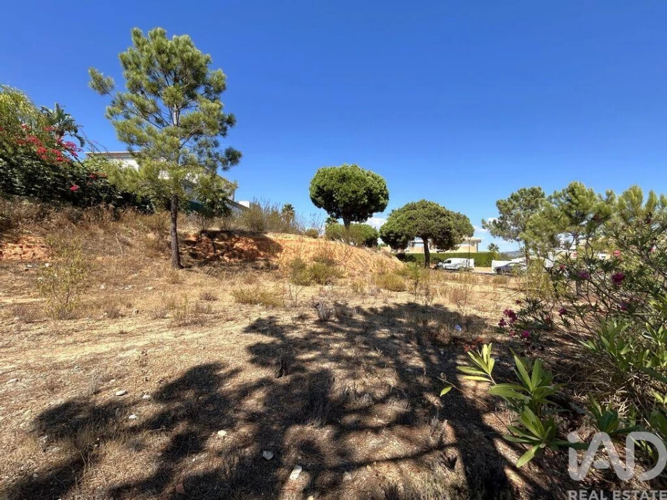 Terreno para Venda em Almancil Foto 2