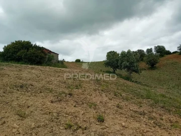 Terreno para Venda em Pernes