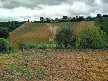 Terreno para Venda em Pernes