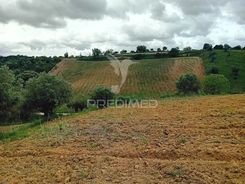 Terreno para Venda em Pernes Foto 3