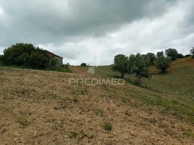 Terreno para Venda em Pernes Foto 4