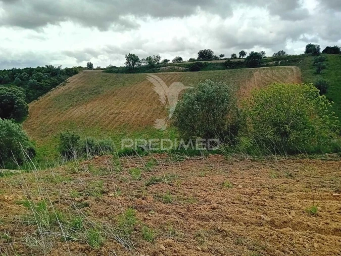 Terreno para Venda em Pernes Foto 6