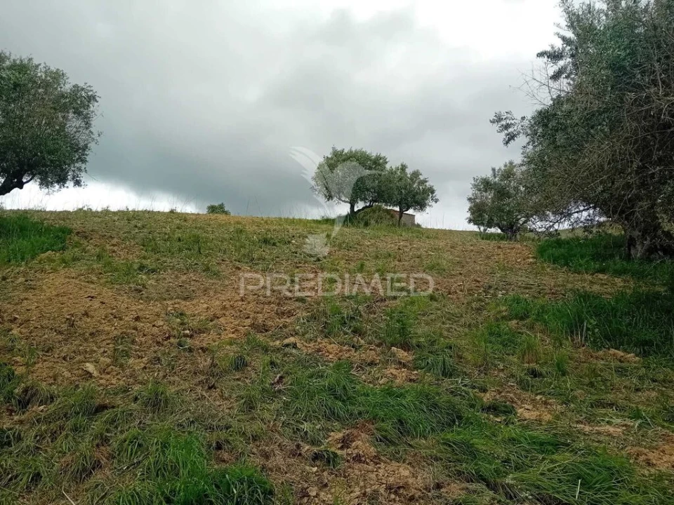 Terreno para Venda em Pernes Foto 1