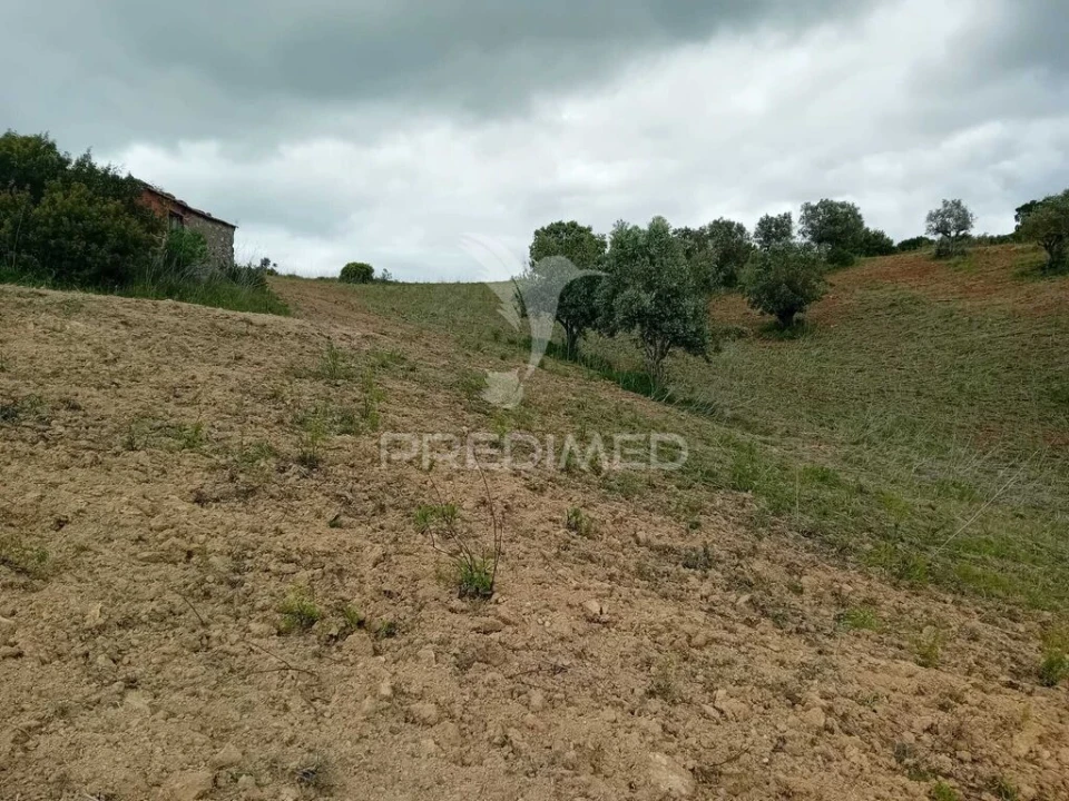 Terreno para Venda em Pernes Foto 2