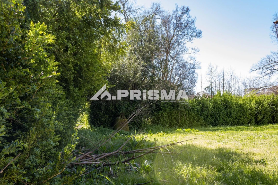 Moradia T9 para Venda em São Miguel de Acha Foto 10