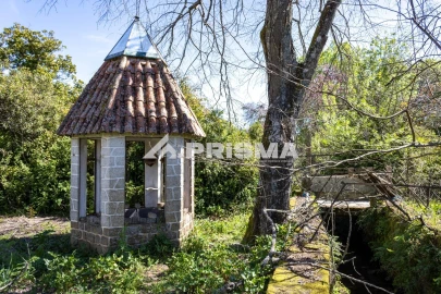 Moradia T9 para Venda em São Miguel de Acha