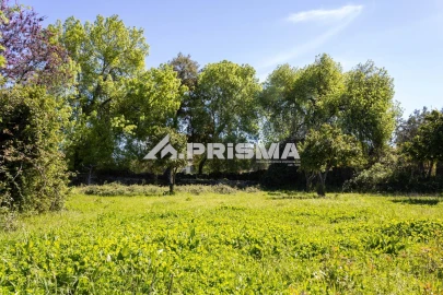 Moradia T9 para Venda em São Miguel de Acha