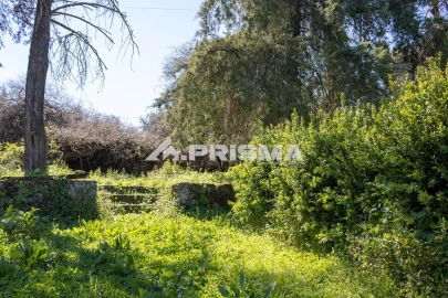 Moradia T9 para Venda em São Miguel de Acha