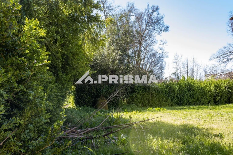 Moradia T9 para Venda em São Miguel de Acha Foto 10