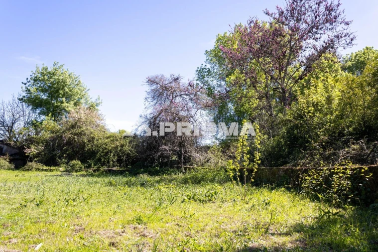 Moradia T9 para Venda em São Miguel de Acha Foto 40