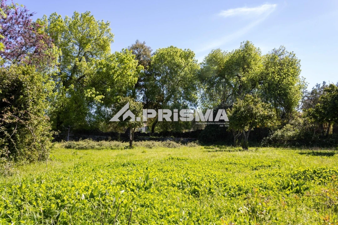 Moradia T9 para Venda em São Miguel de Acha Foto 42