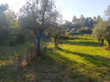 Terreno para Venda em Beco