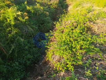 Terreno para Venda em Beco