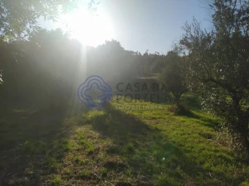 Terreno para Venda em Beco