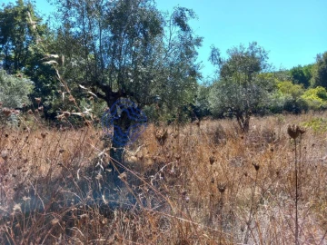 Terreno para Venda em Beco